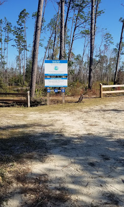 Longleaf Campsite at Walsingham Campgrounds