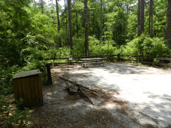 Longleaf Campsite at Walsingham Campgrounds
