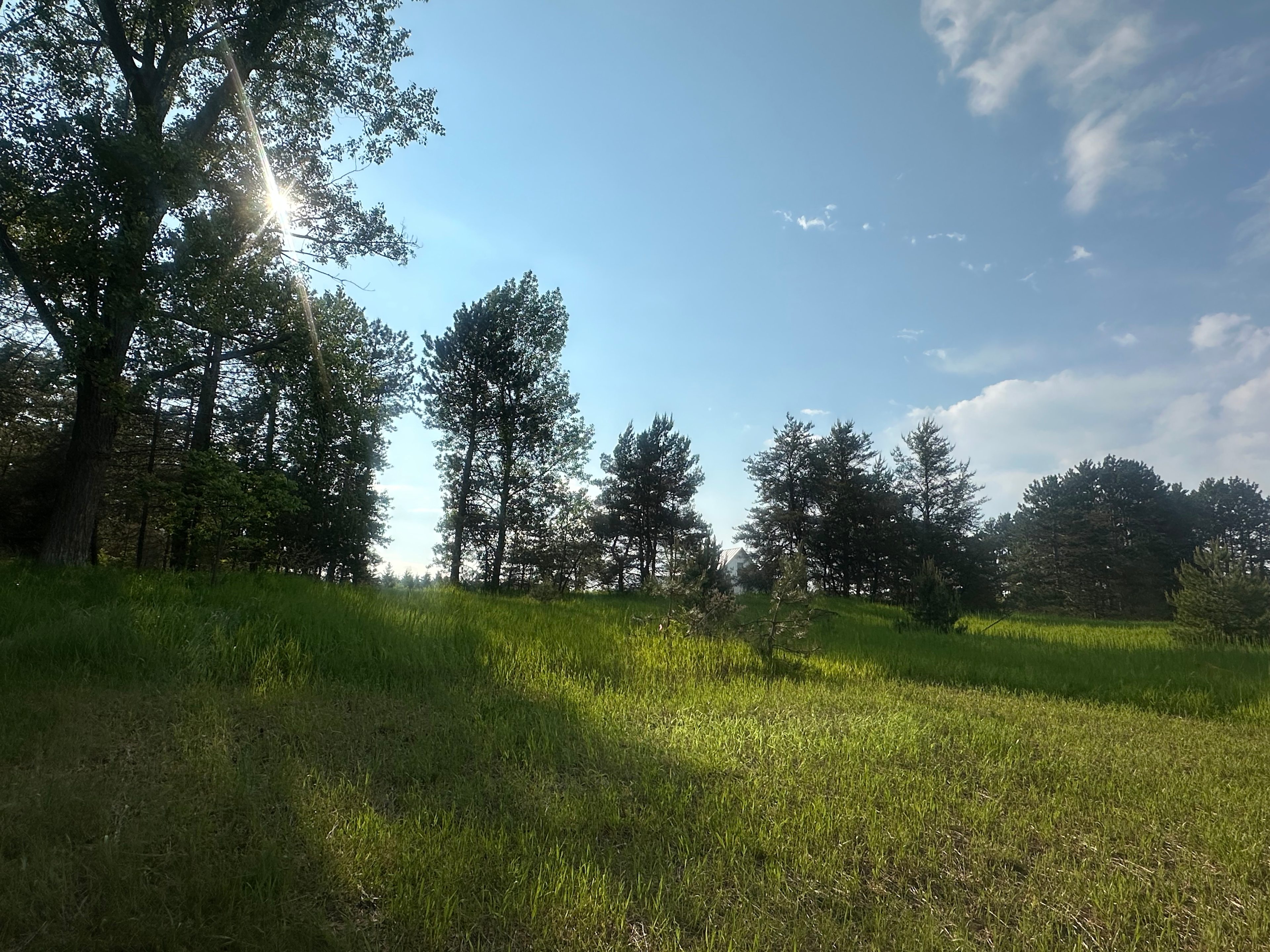 Trailer Meadow