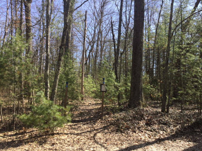 Leverentz Lake State Forest Campground