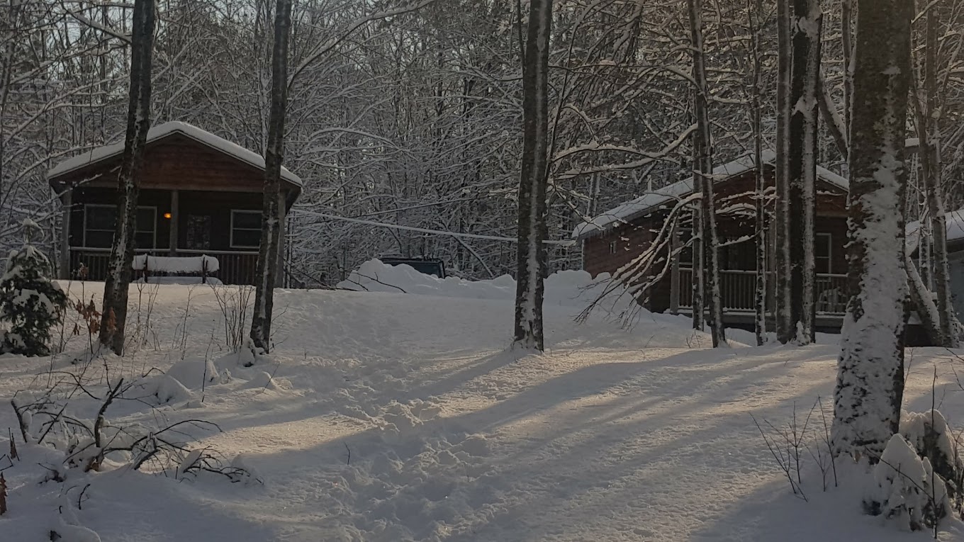 Point Passadumkeag River Cabins