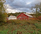 Gold Brook Campground