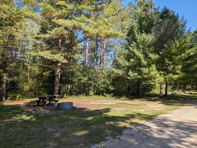 Scheck's Place State Forest Campground