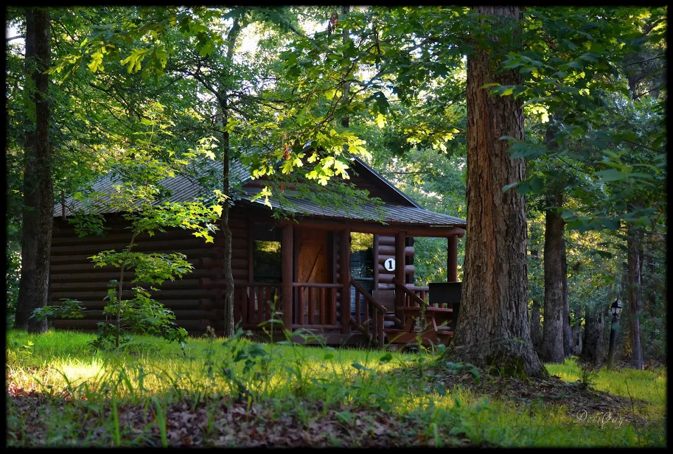Wilderness Lakefront Resort