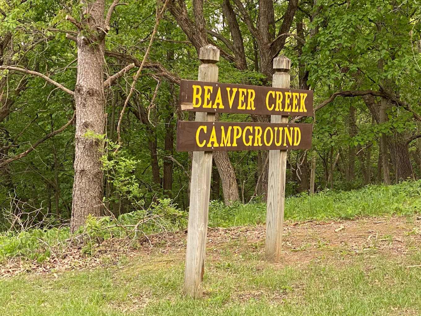 Beaver Creek Campground