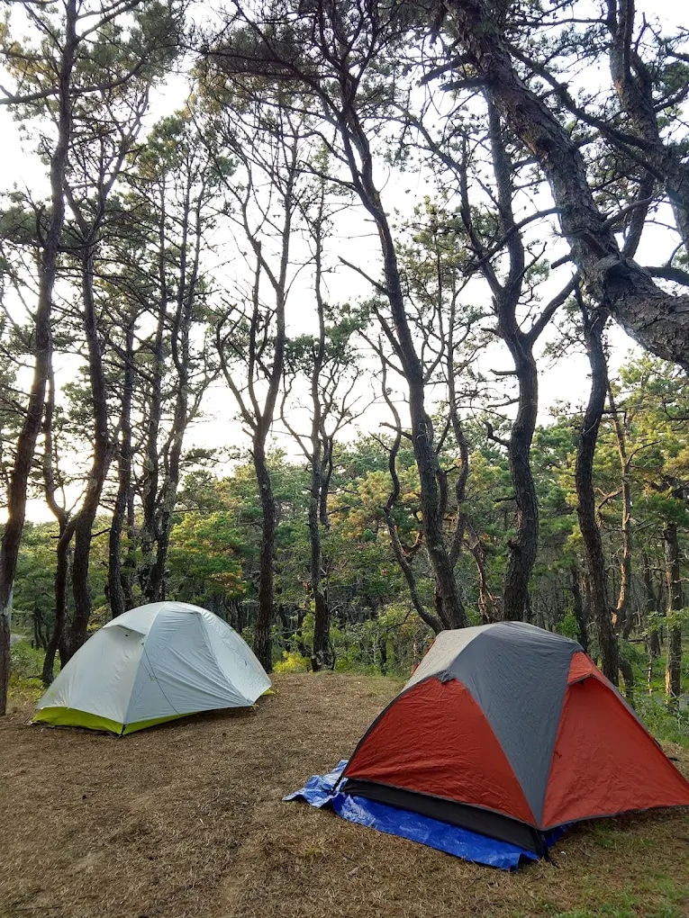 North of Highland Camping Area