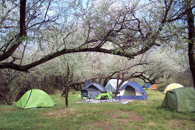Pack Creek Mobile Home Park