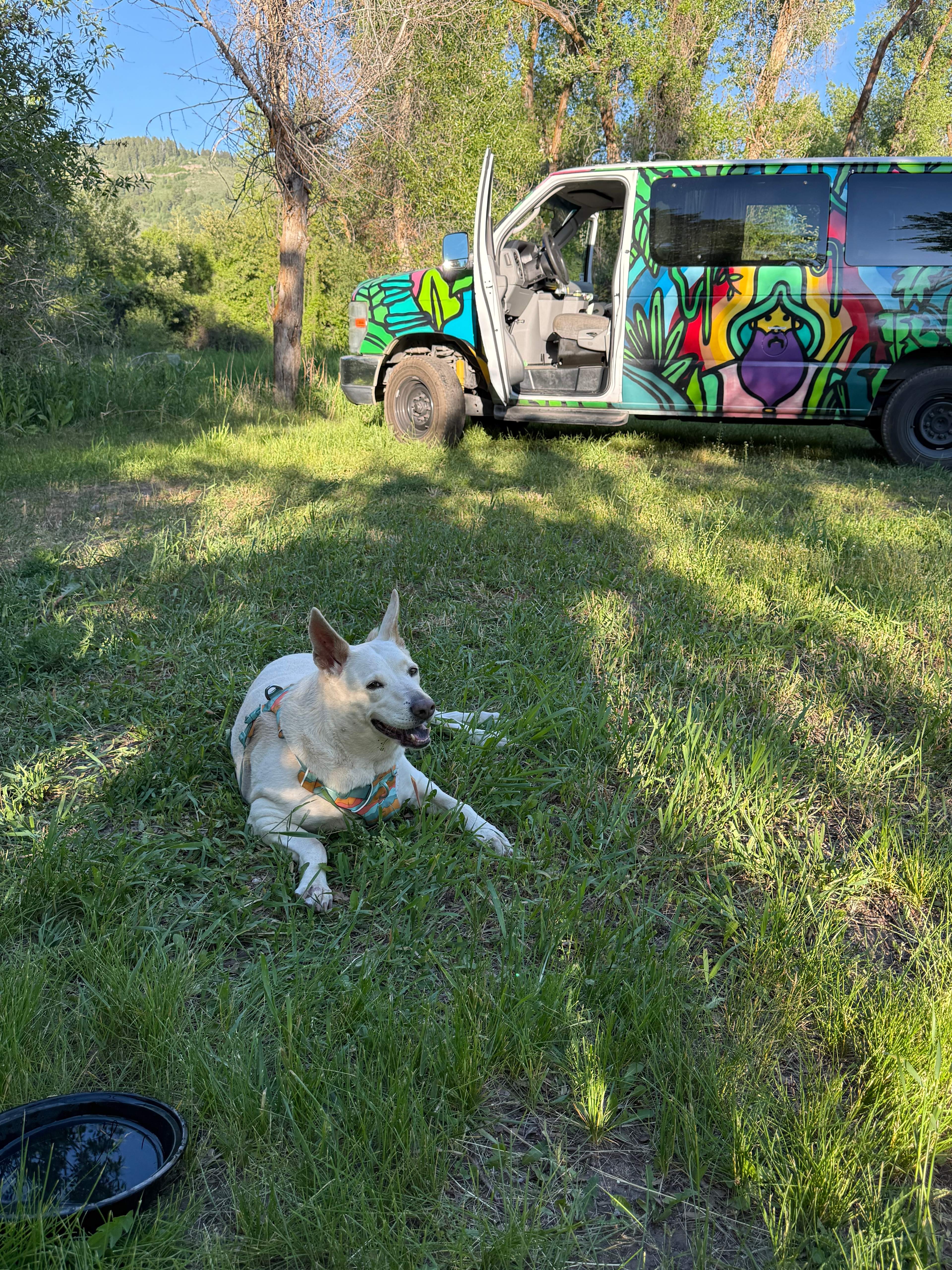 Sprinter + doggie :)