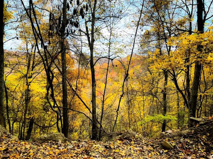 Hillbilly Rentals Resort & Campground