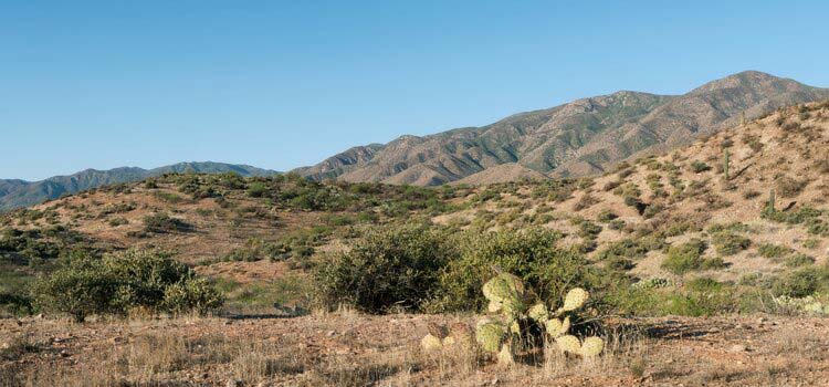 Roosevelt Lake Cottages