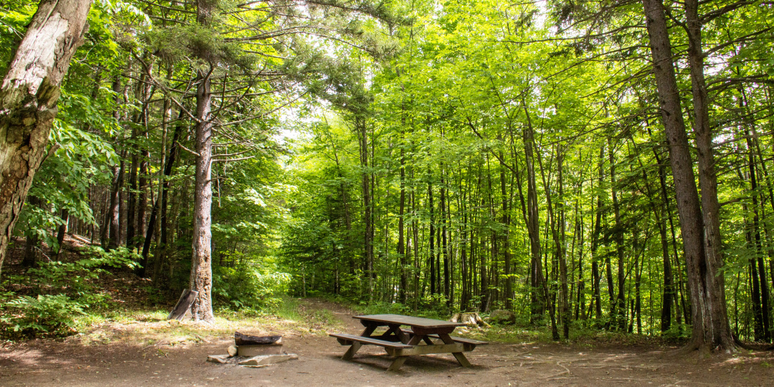 Burke Mountain Campground