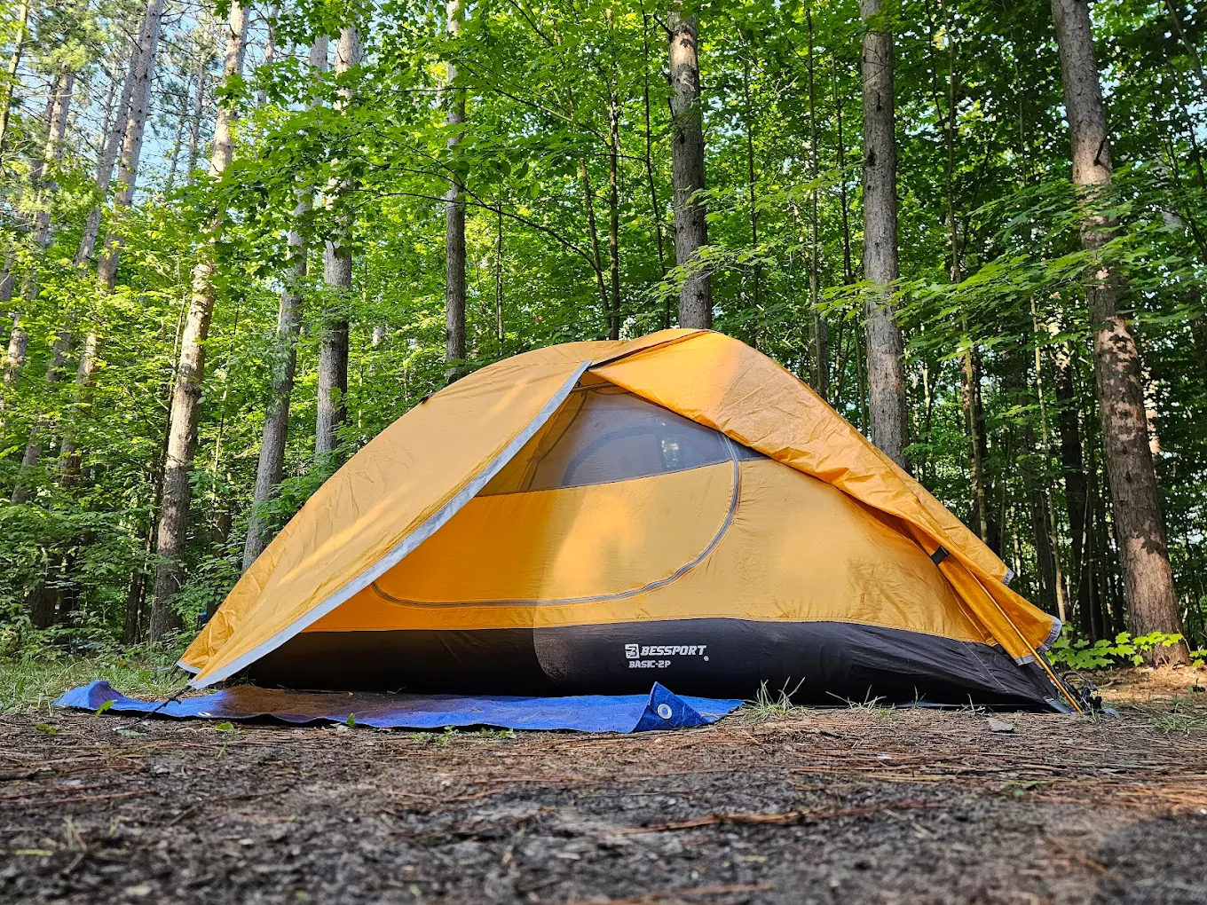 Baxter Bridge State Forest Campground