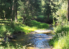 Woodland RV Park