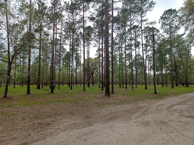 kennys campsites
