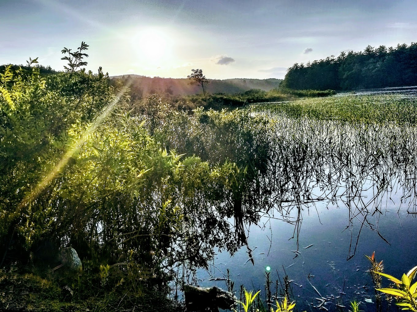 Lake Massasecum Park & Campground