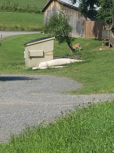 Indian Meadows Campground