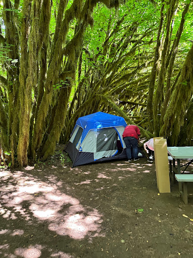 Misty Willow's Farm and Camp