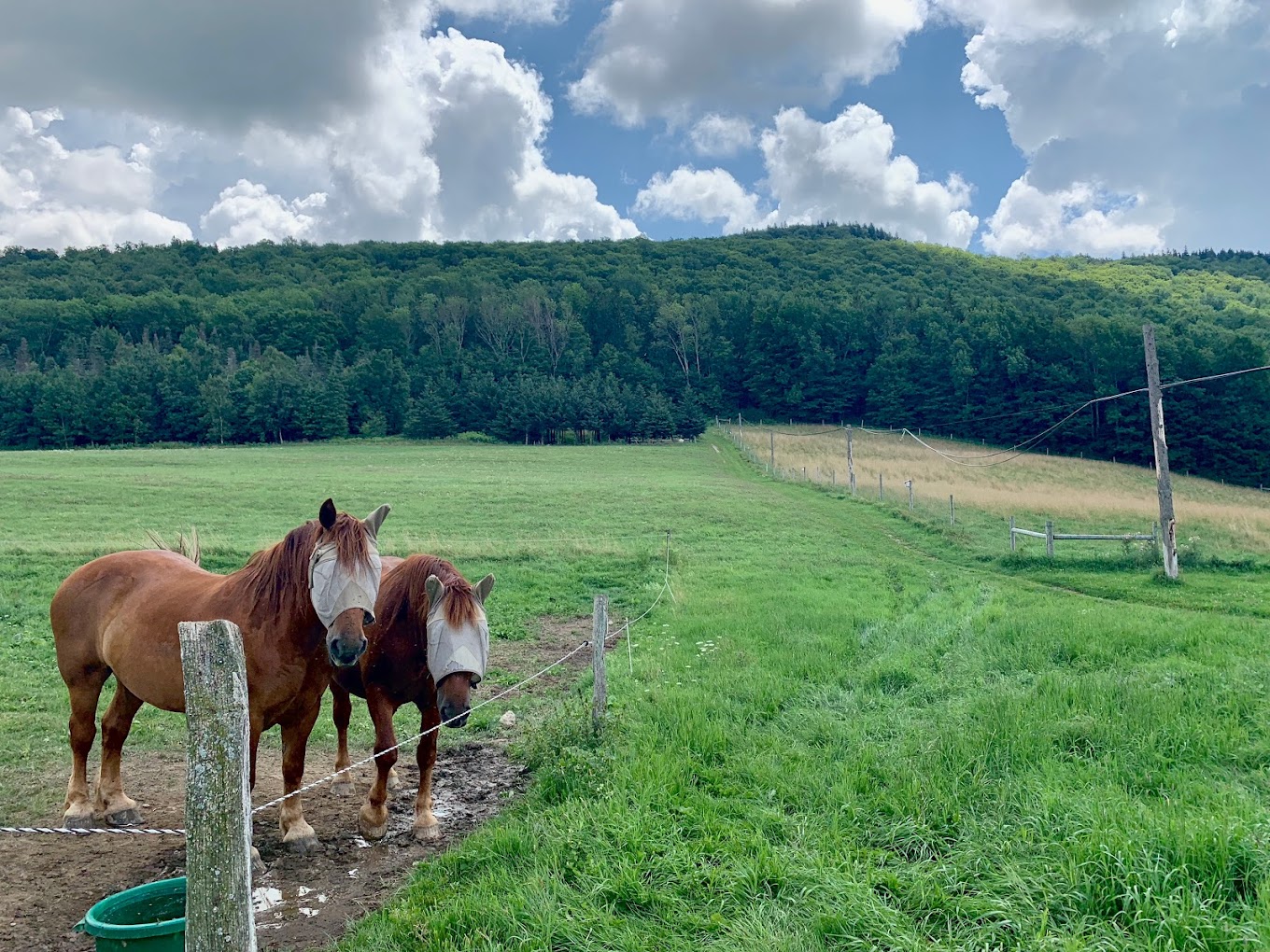Merck Forest and Farmland Center