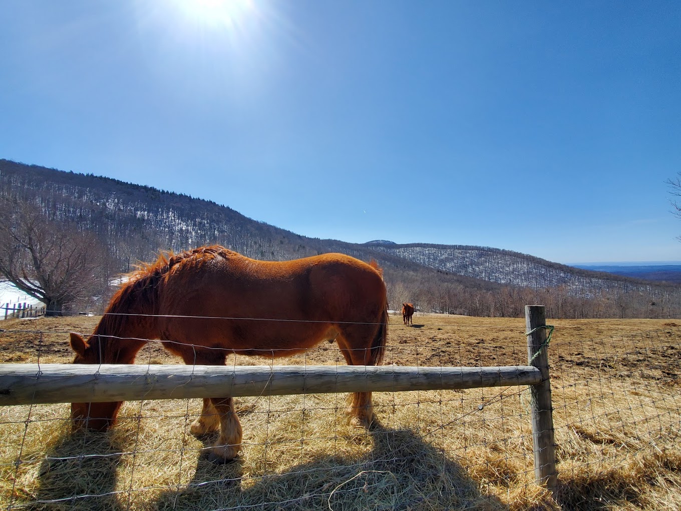 Merck Forest and Farmland Center