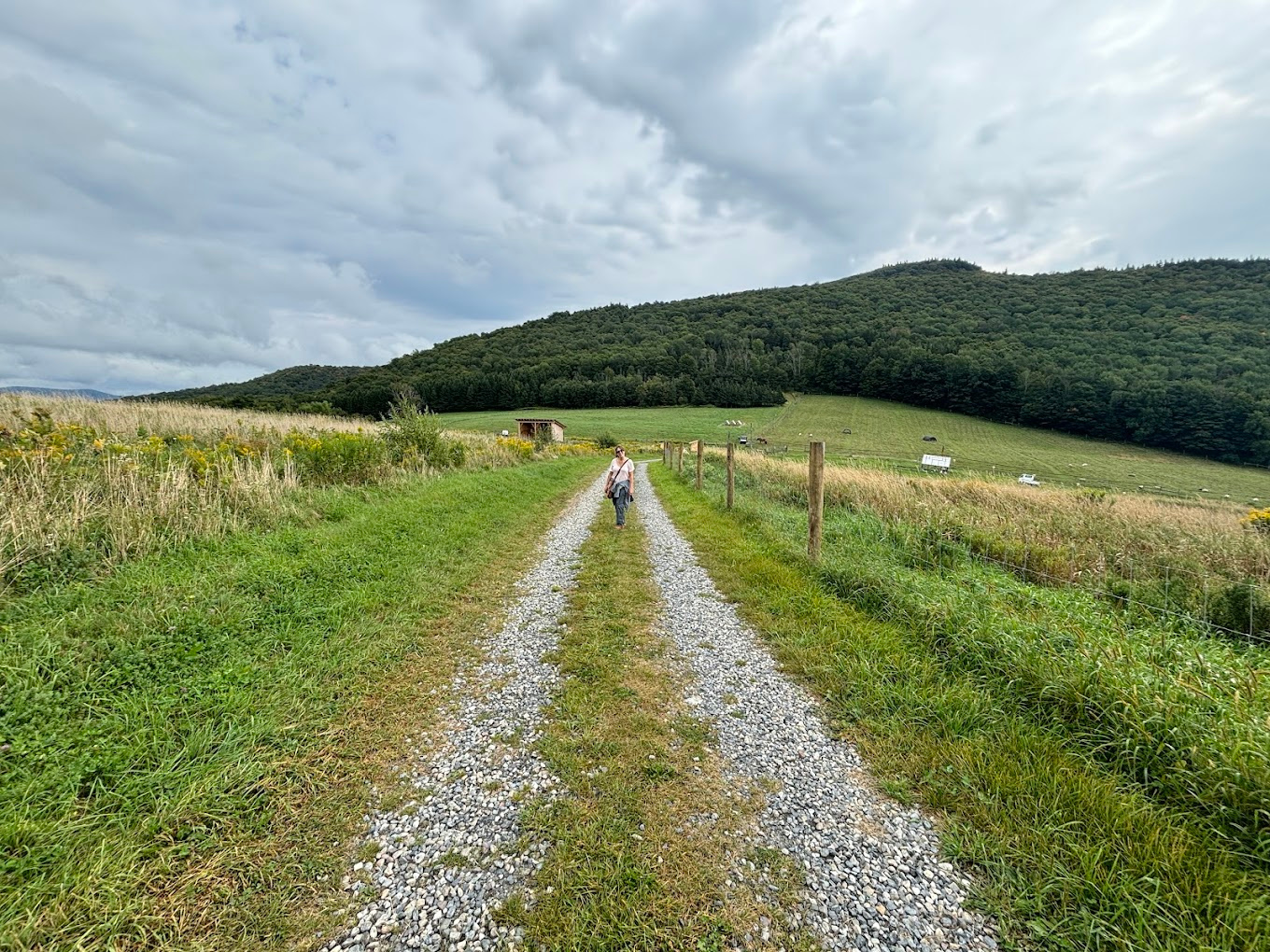 Merck Forest and Farmland Center