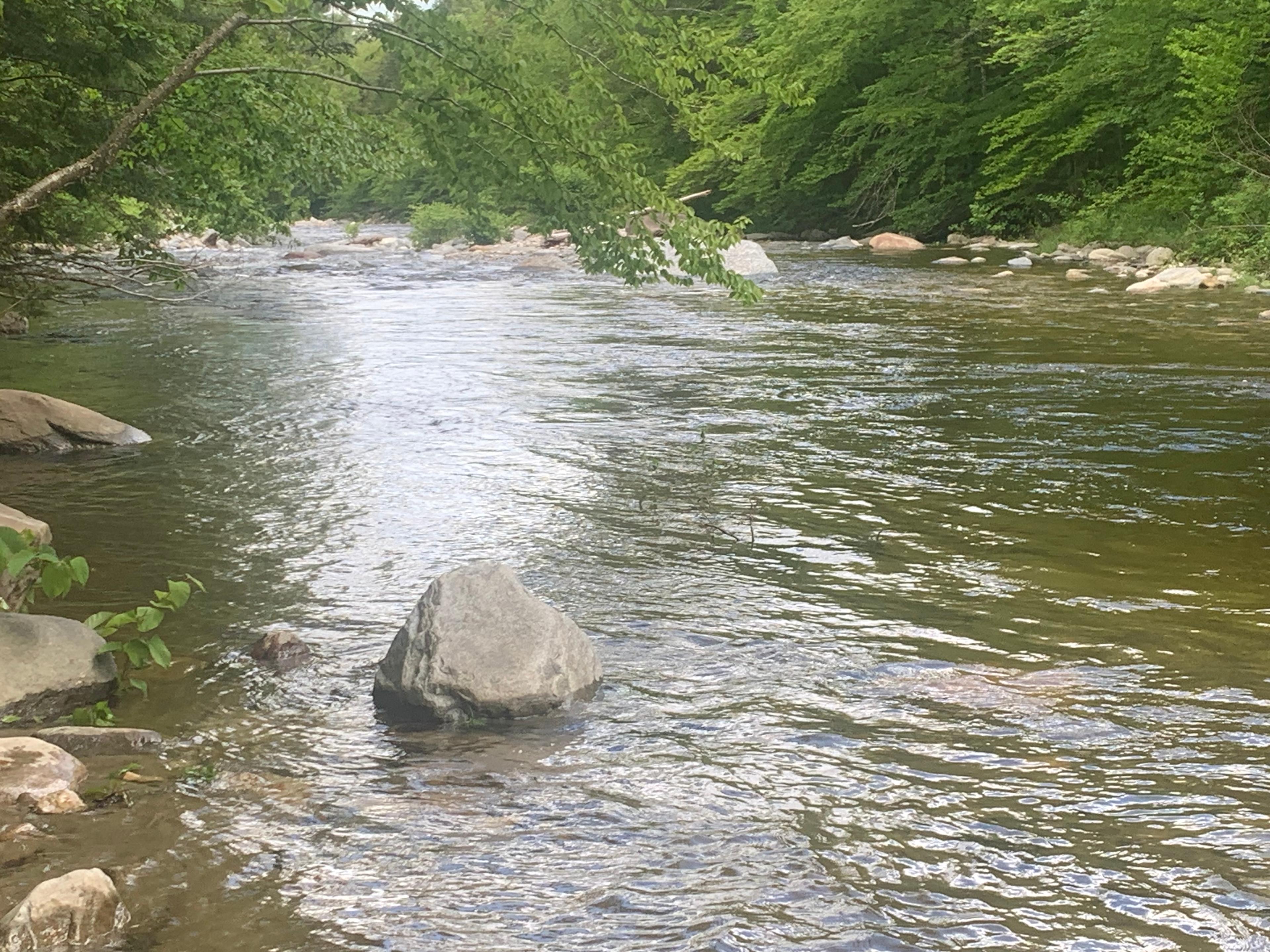 River Farm