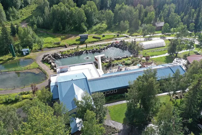 Chena Hot Springs Resort