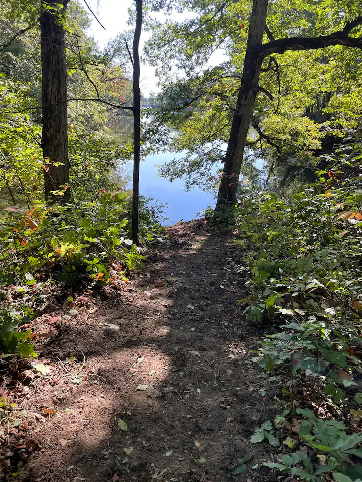 Roots Lodge @ Pittsfield Lake