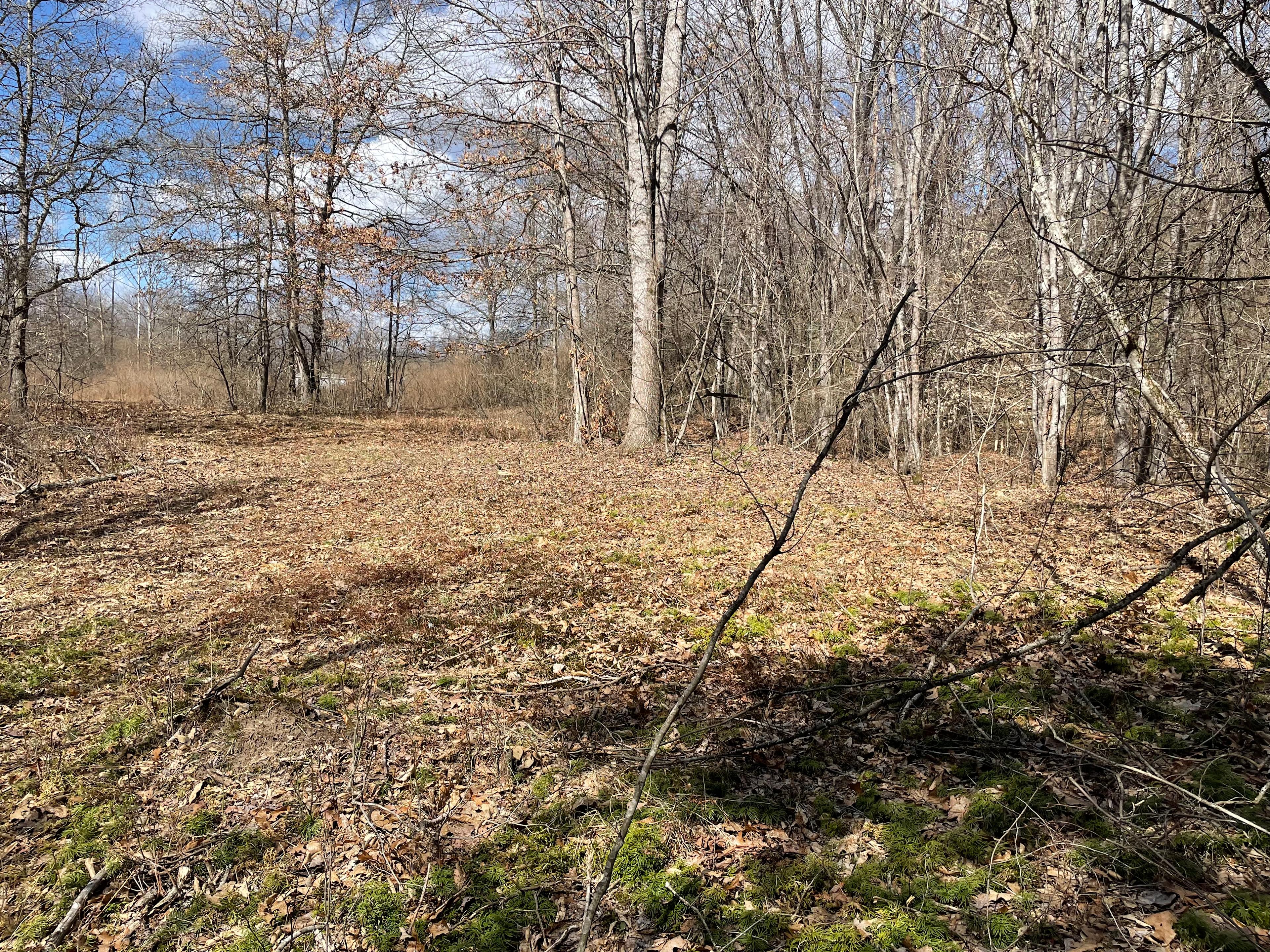 Blue Grass Ranch on Sinking Creek