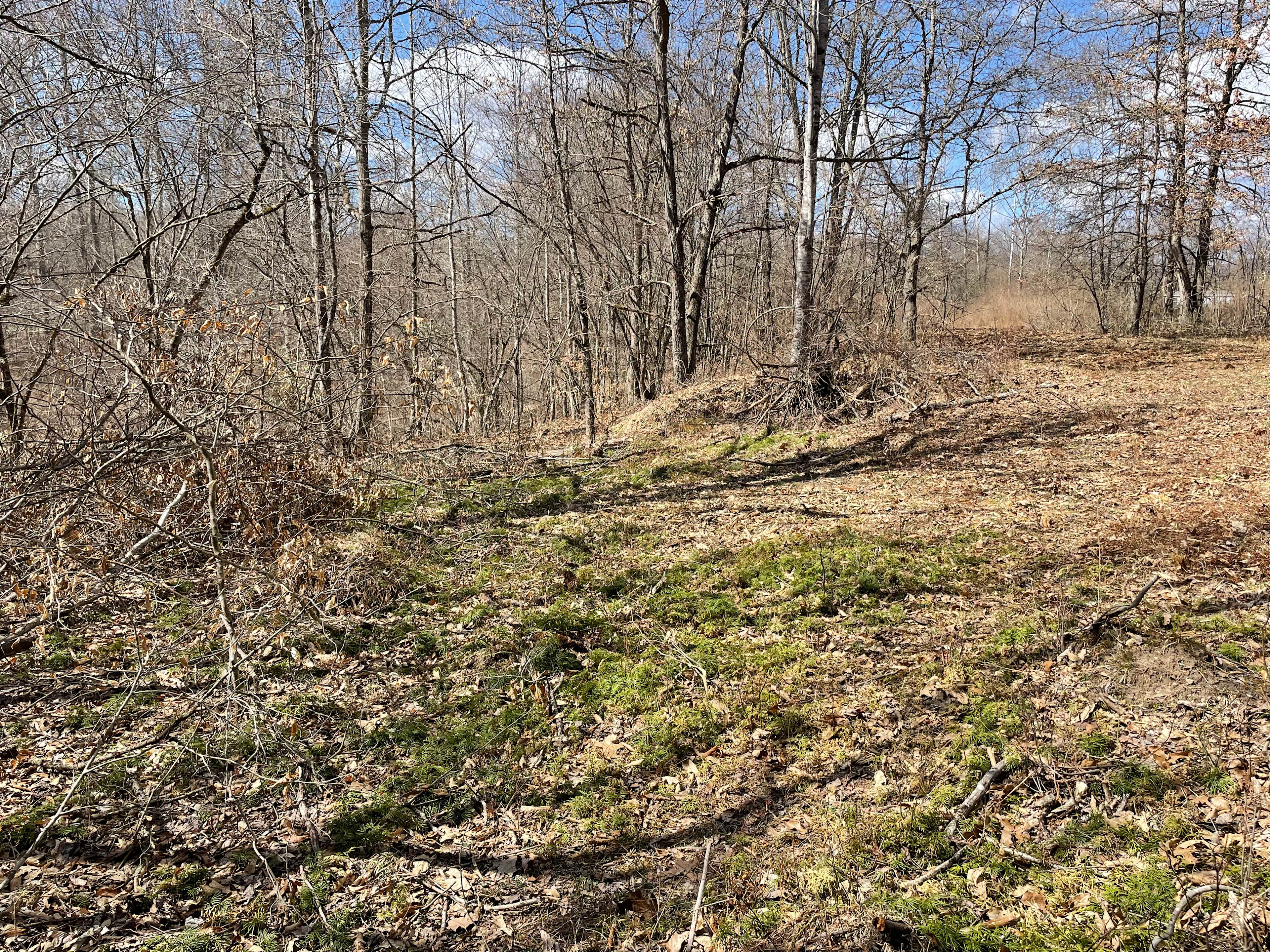 Blue Grass Ranch on Sinking Creek