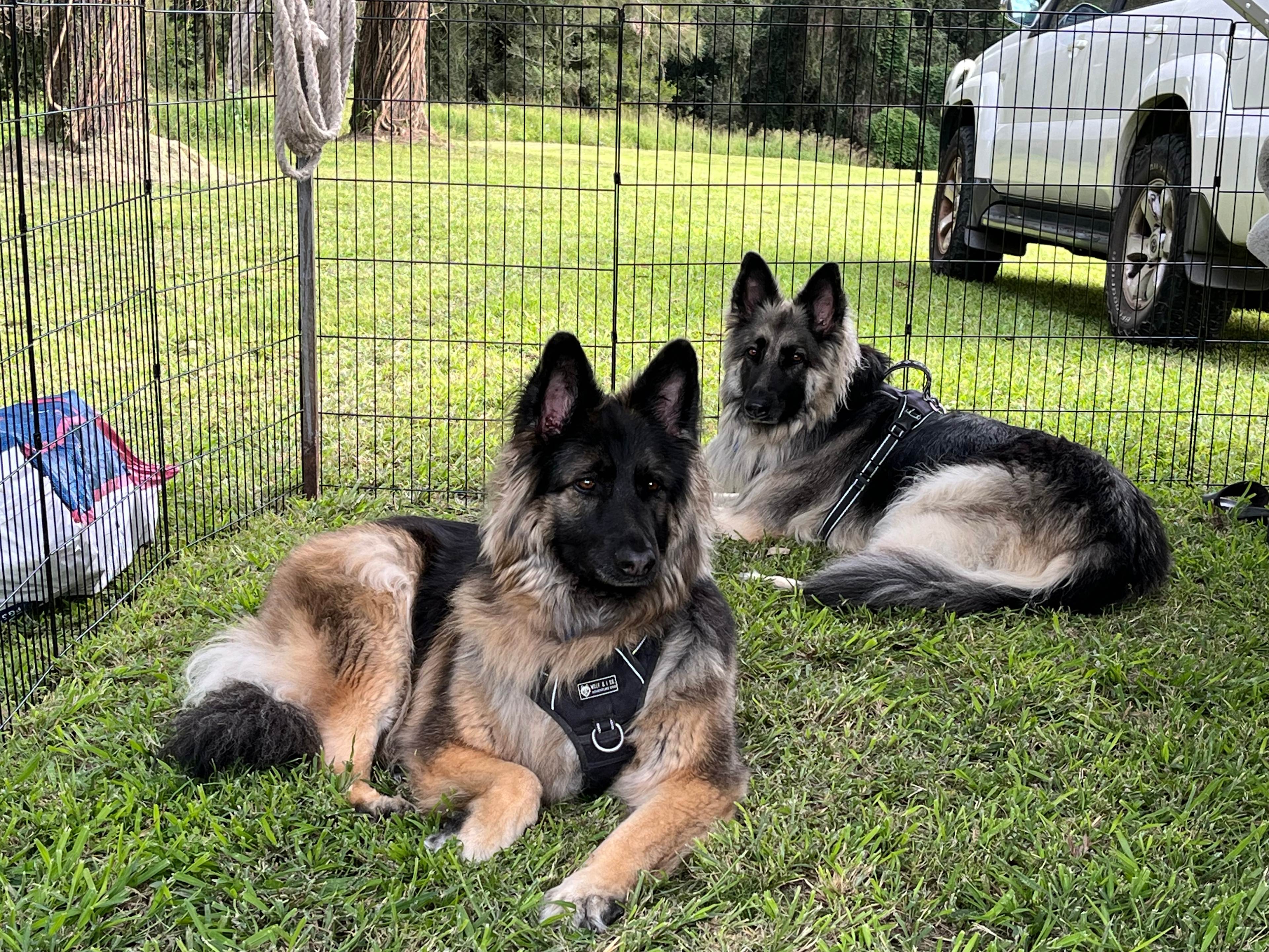 Creekside Camping and Golf