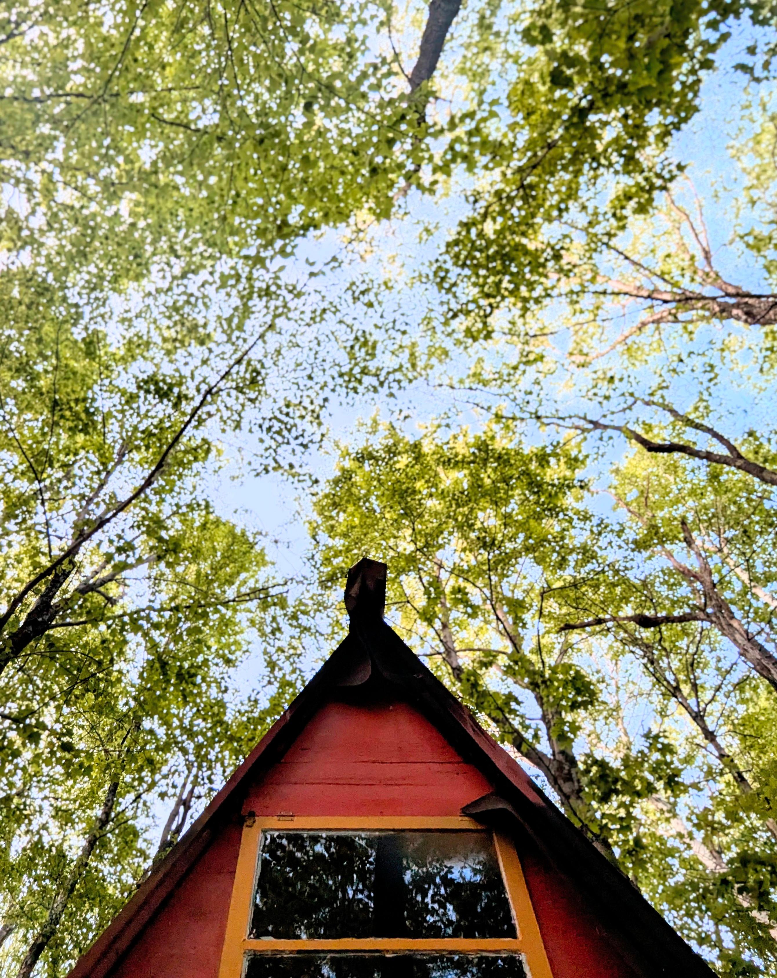 Berkshire Beech House
