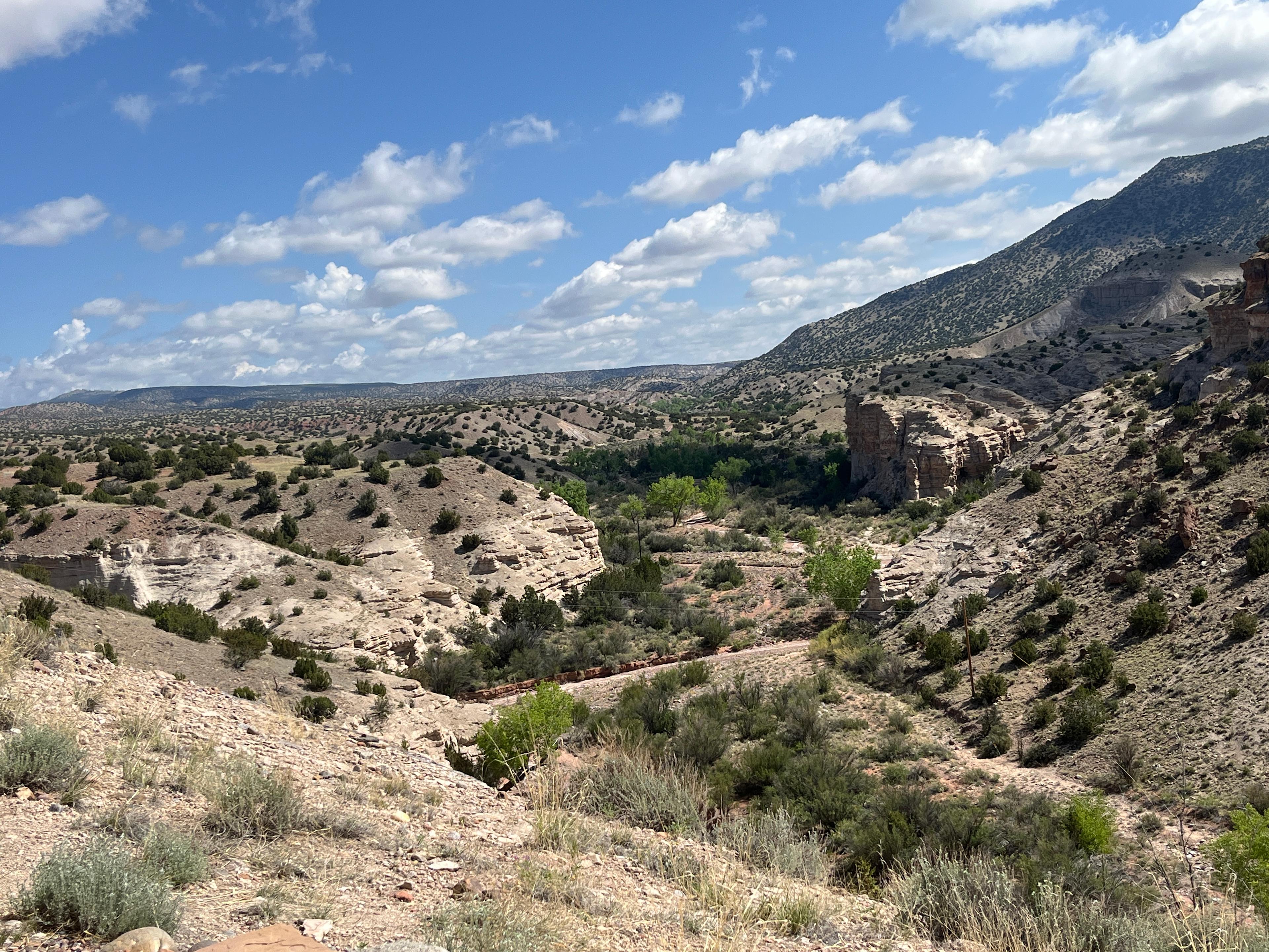 View looking north into the arroyo