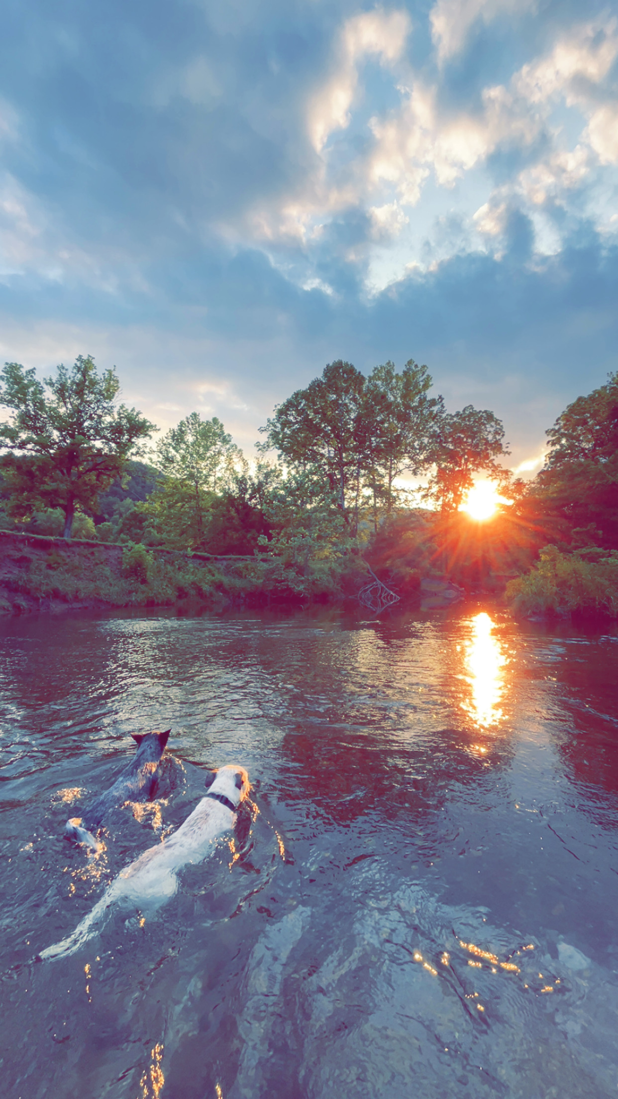 Shirley's River Retreat