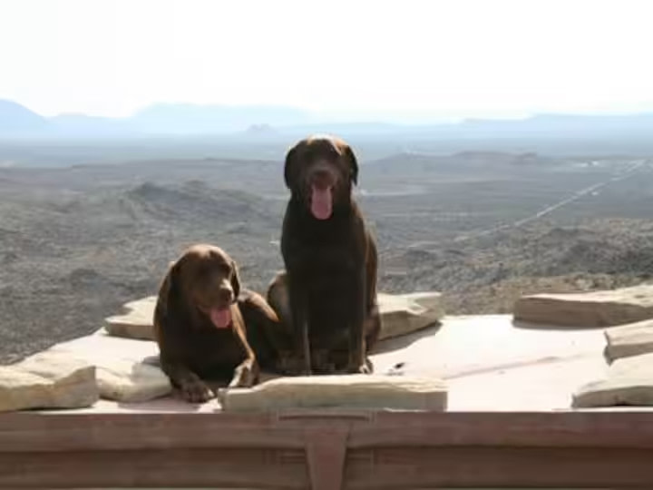 Tarantula Ranch Vacation Rentals