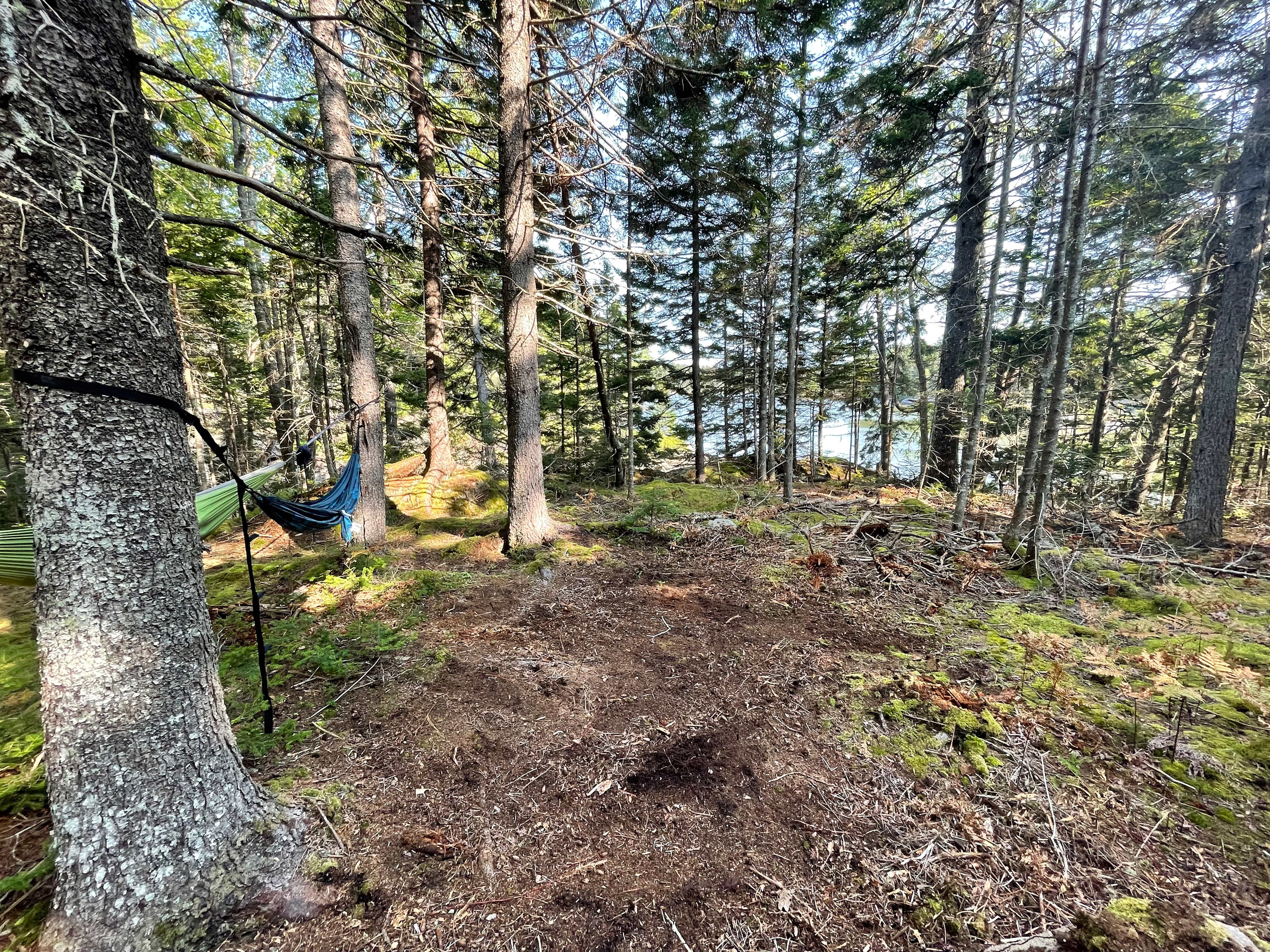 Woodhollow Cove