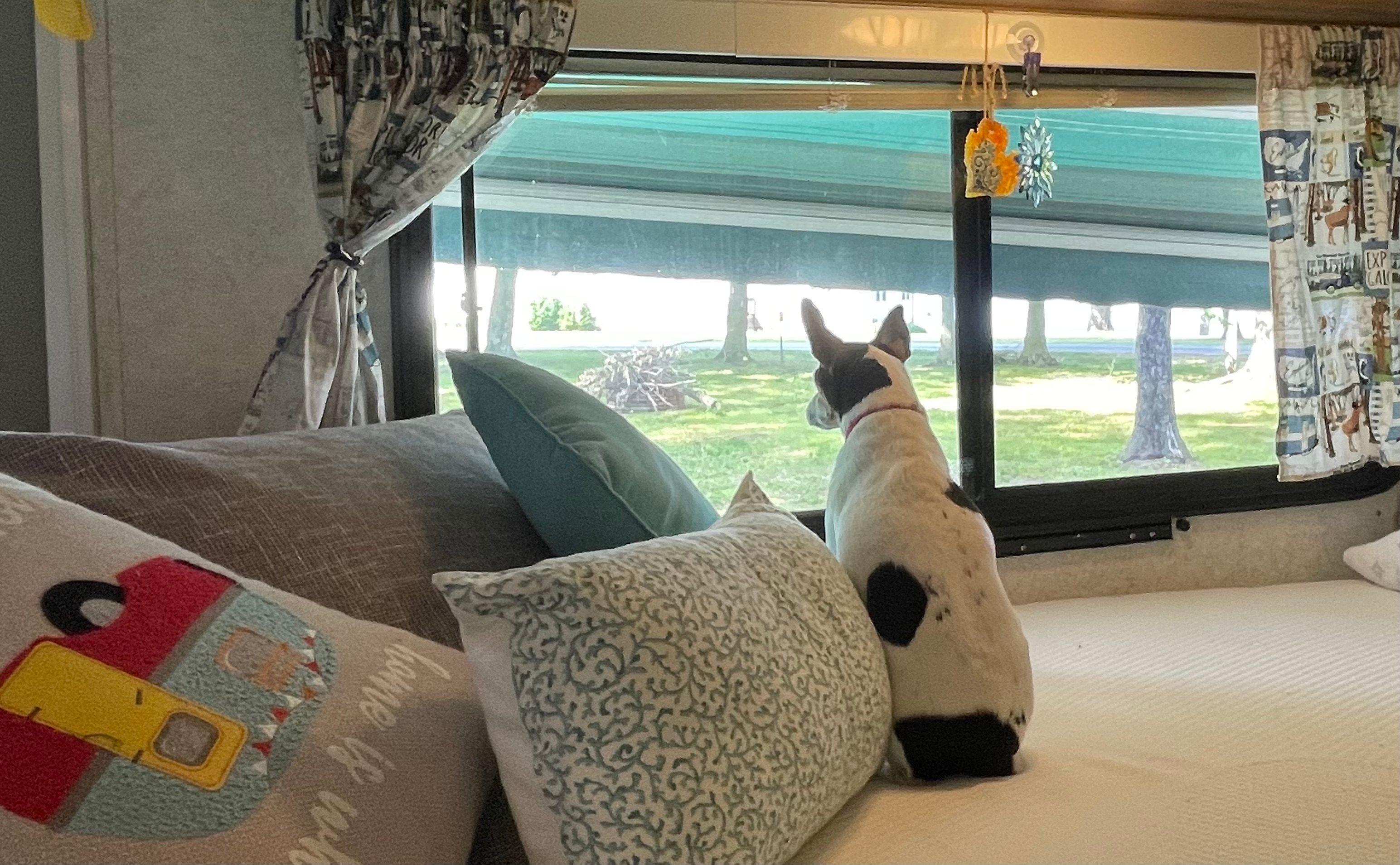 Duck Lake Wooded RV Retreat