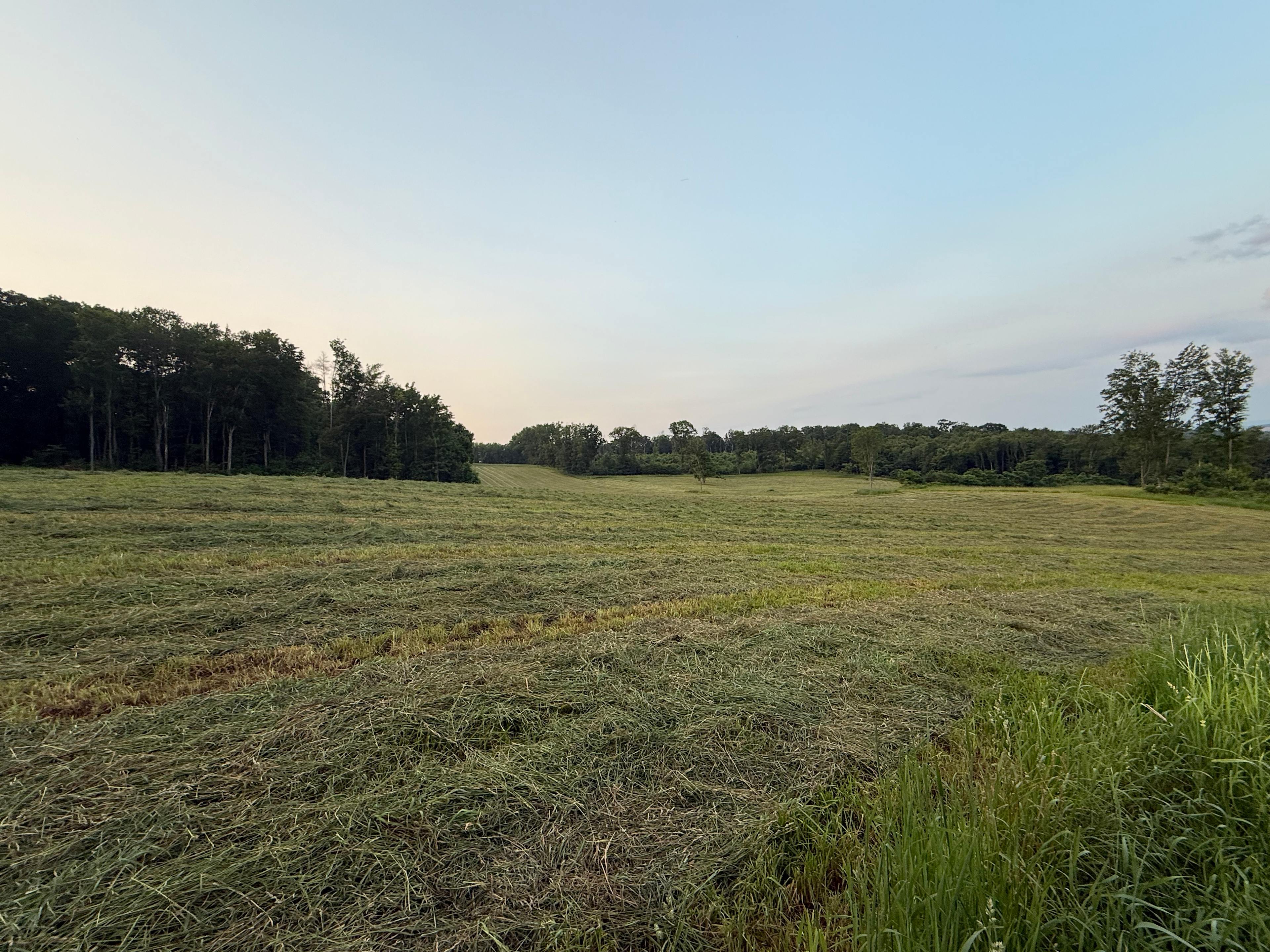 You are looking at the entrance to the 16 acre field surrounded by woods on 3 sides, you will be able pull up your camper or pitch a tent on any part.