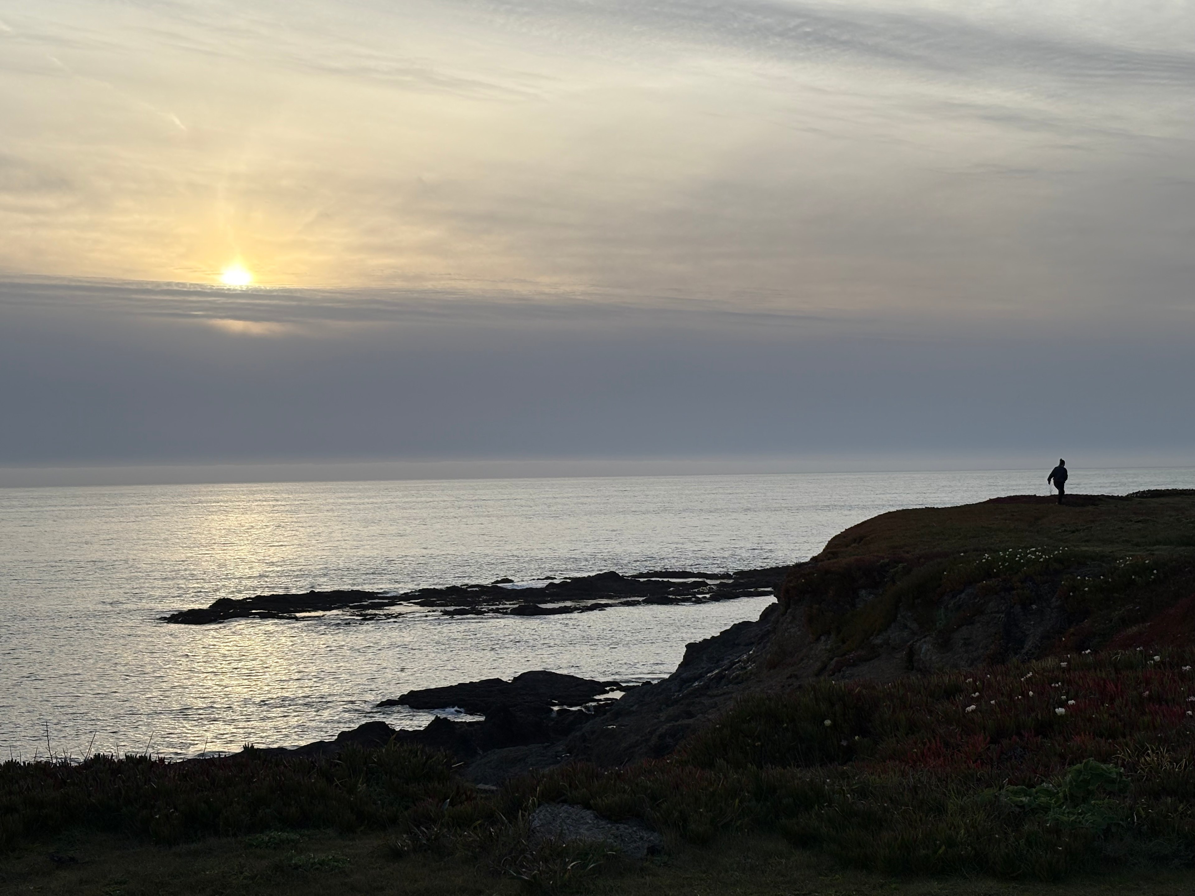 New Pine Grove Campground