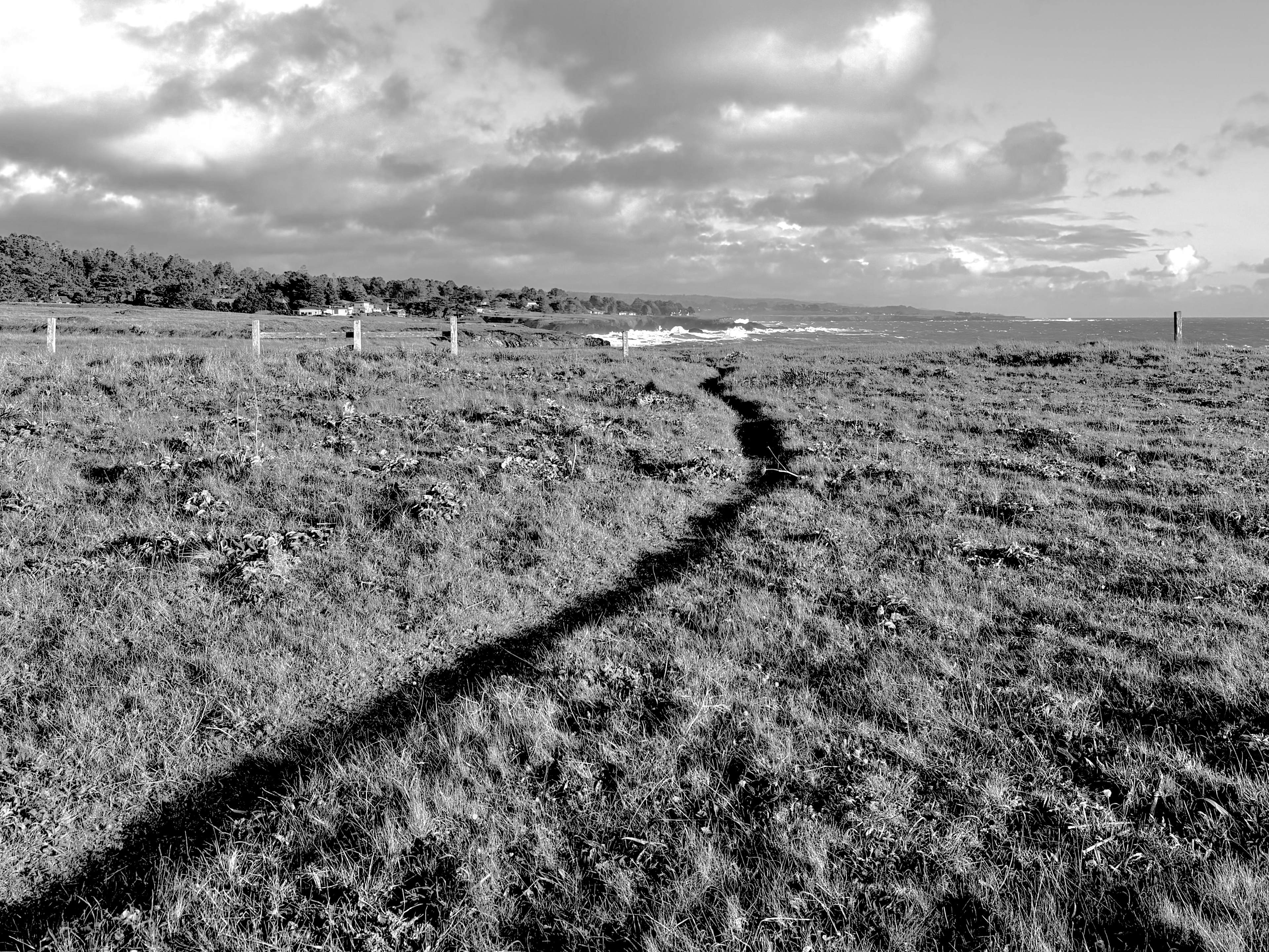 New Pine Grove Campground