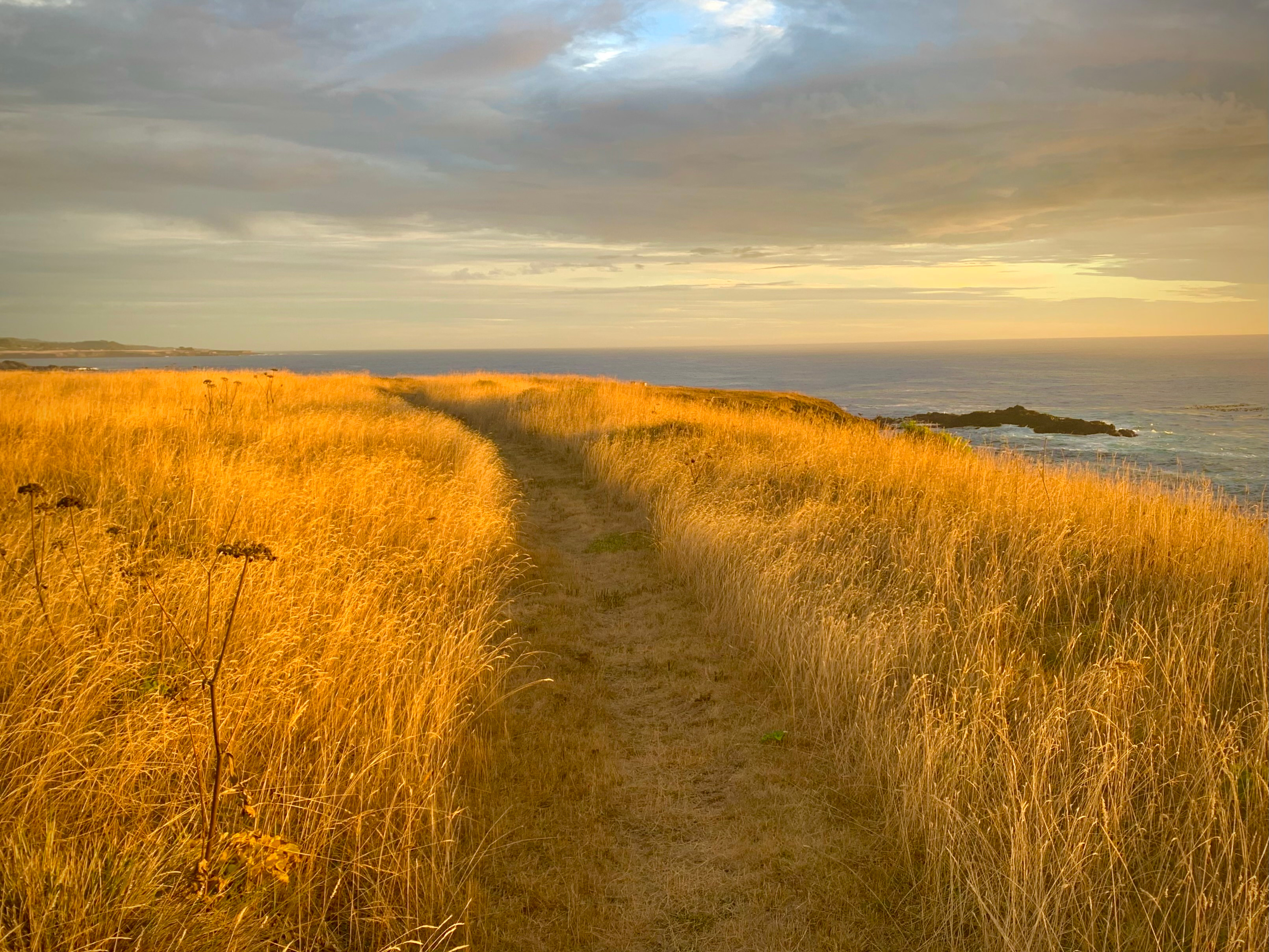 New Pine Grove Campground