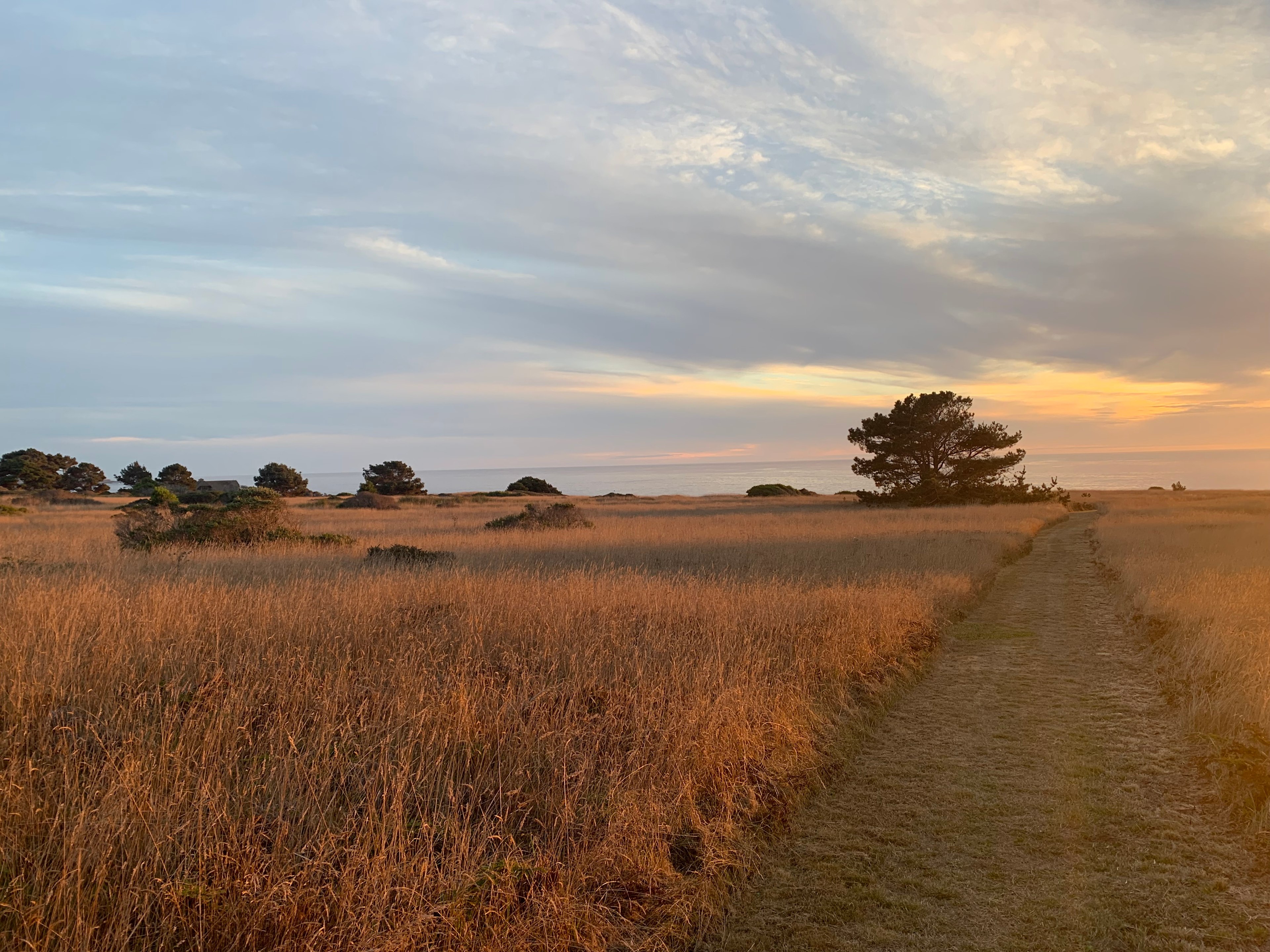 New Pine Grove Campground