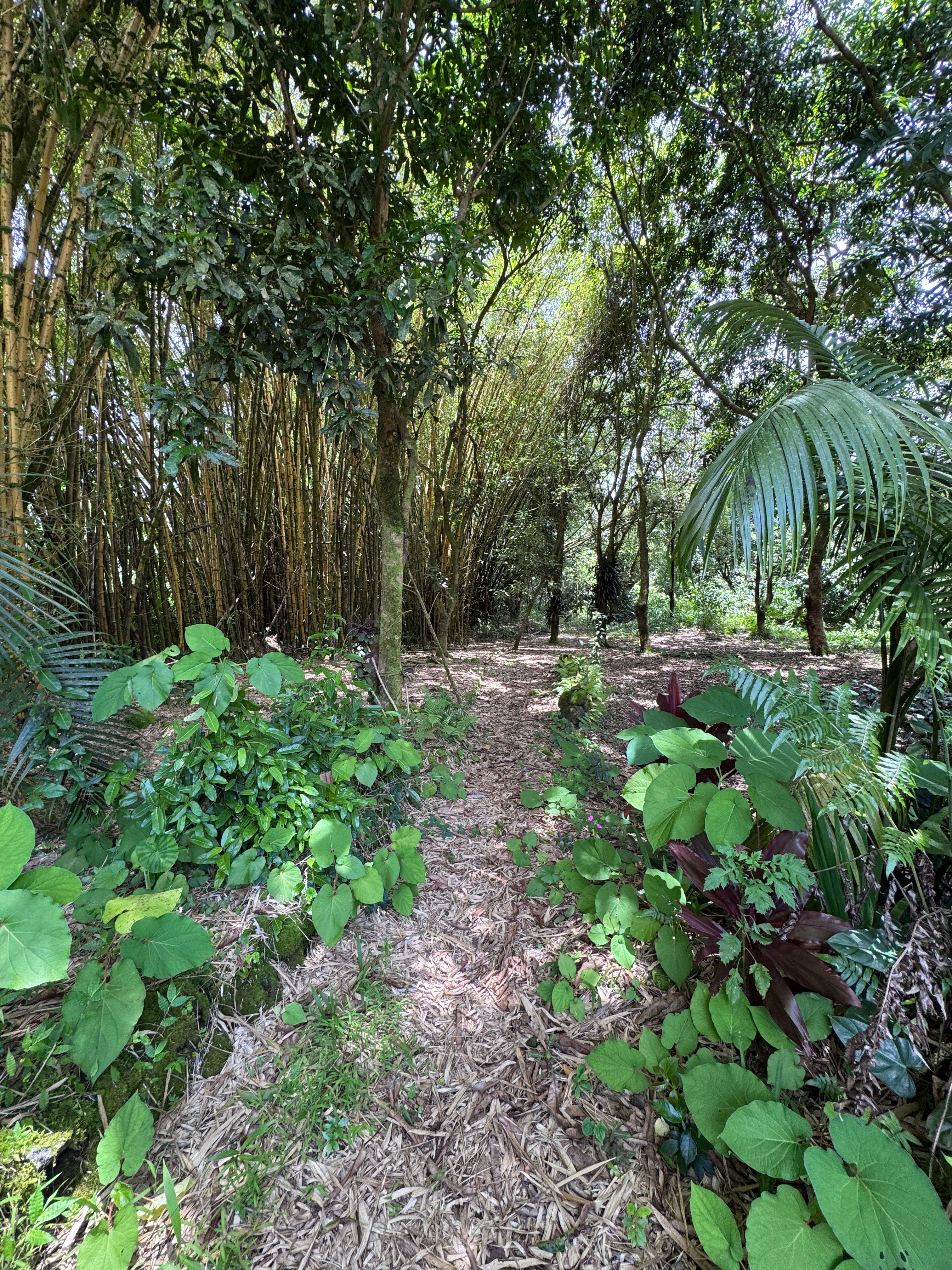 Banyan Breeze Basecamp