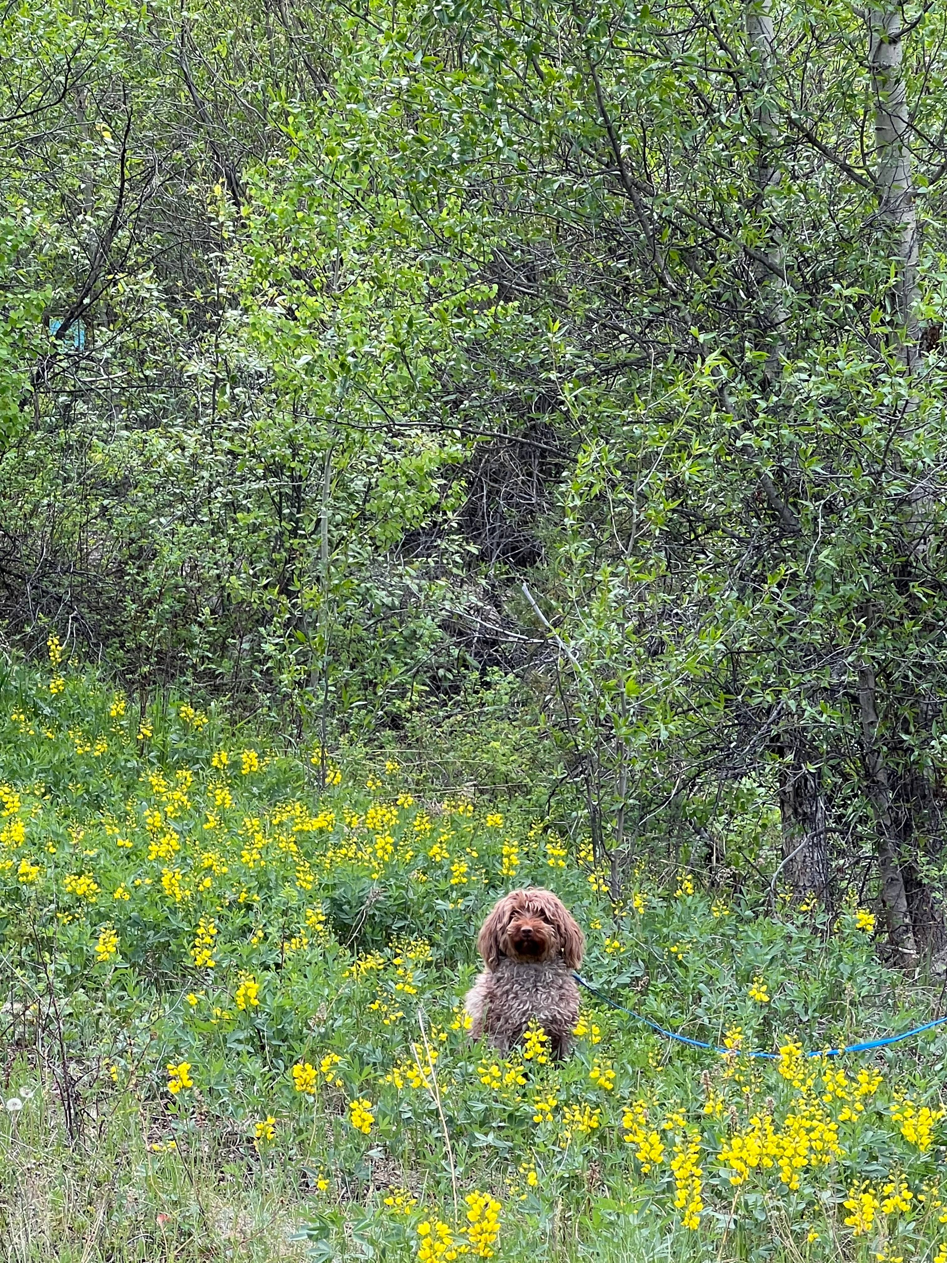 Monarch Spur RV Park and Campground