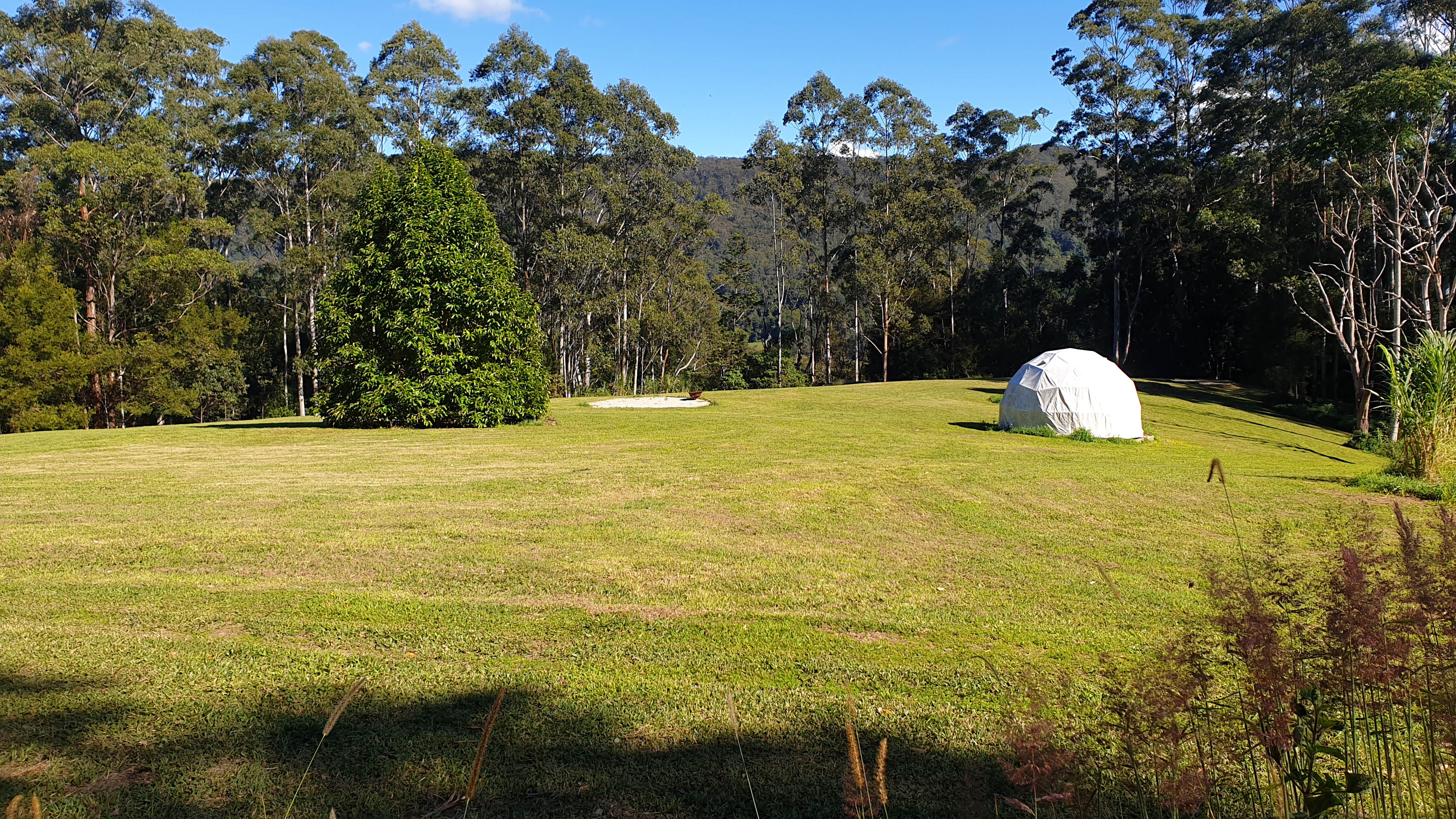 Upper Meadow campsite area