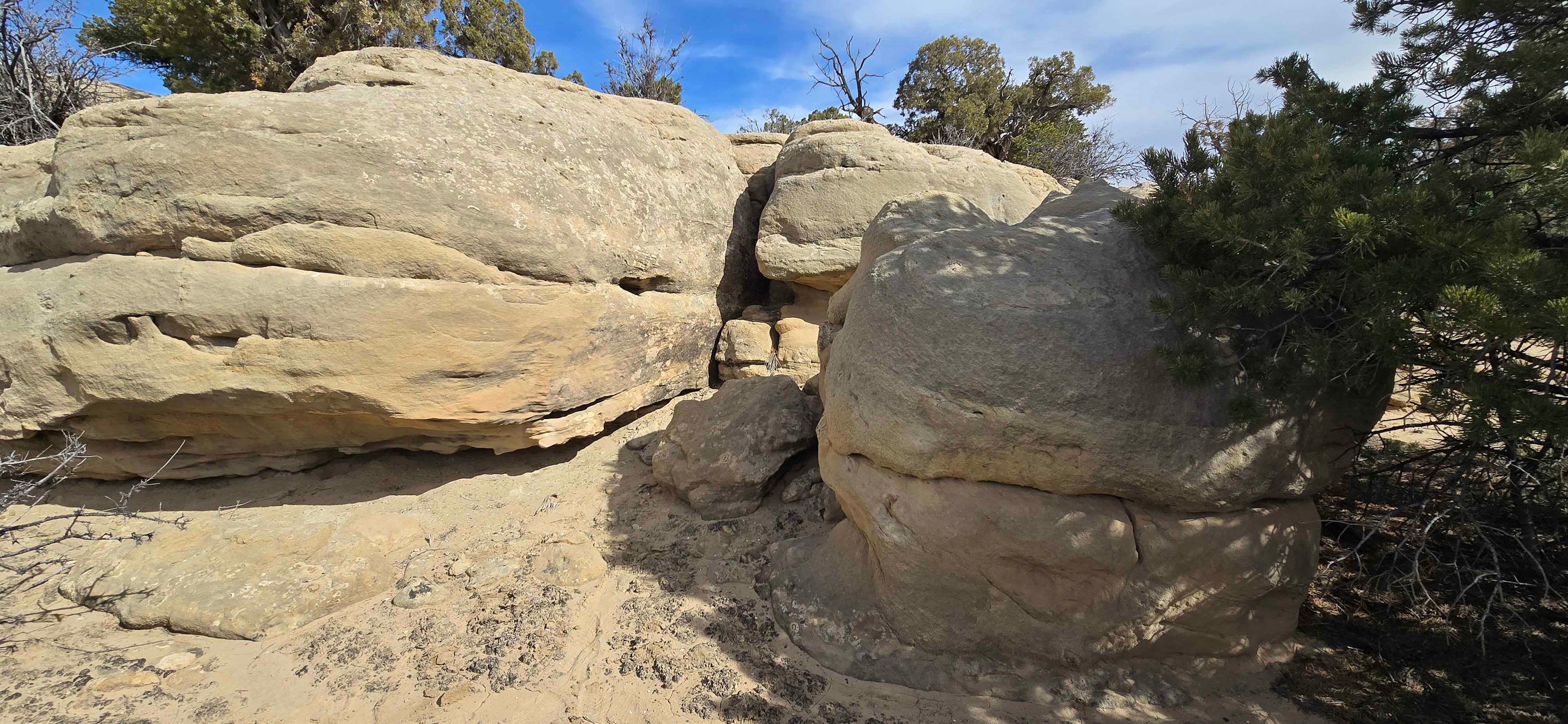Wild Wolf Ridge