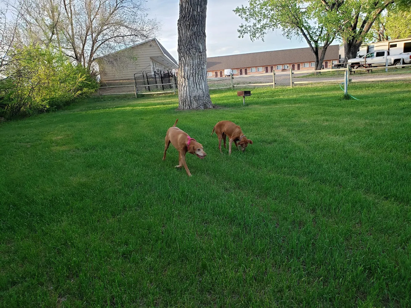 Edgewater Inn And RV Park