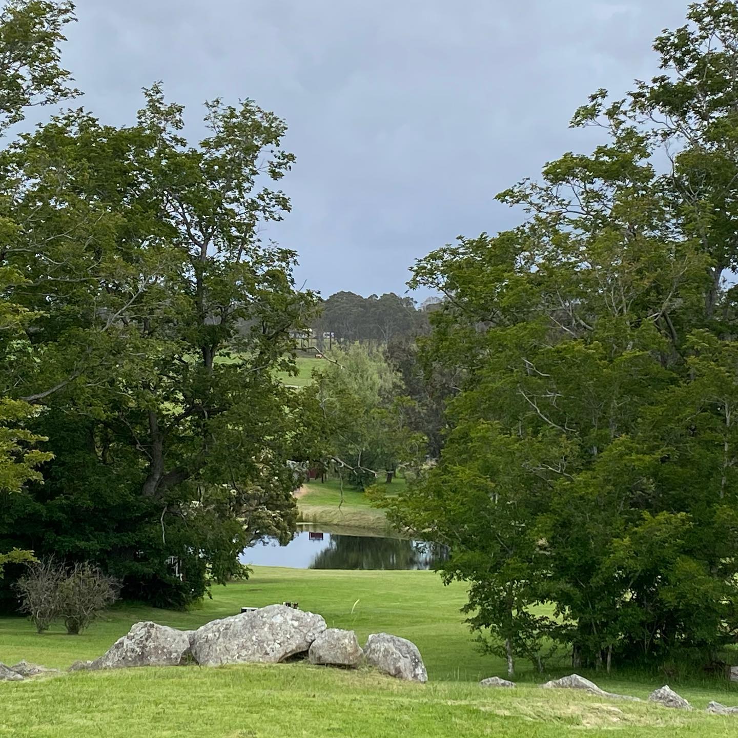 The Knoll Moruya