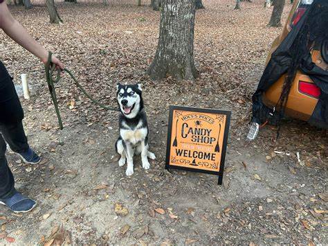 Bogue Chitto Water Park Campground Pearl River Basin Dev Dist