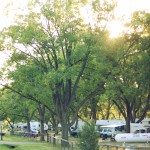 Park Ridge RV Campground