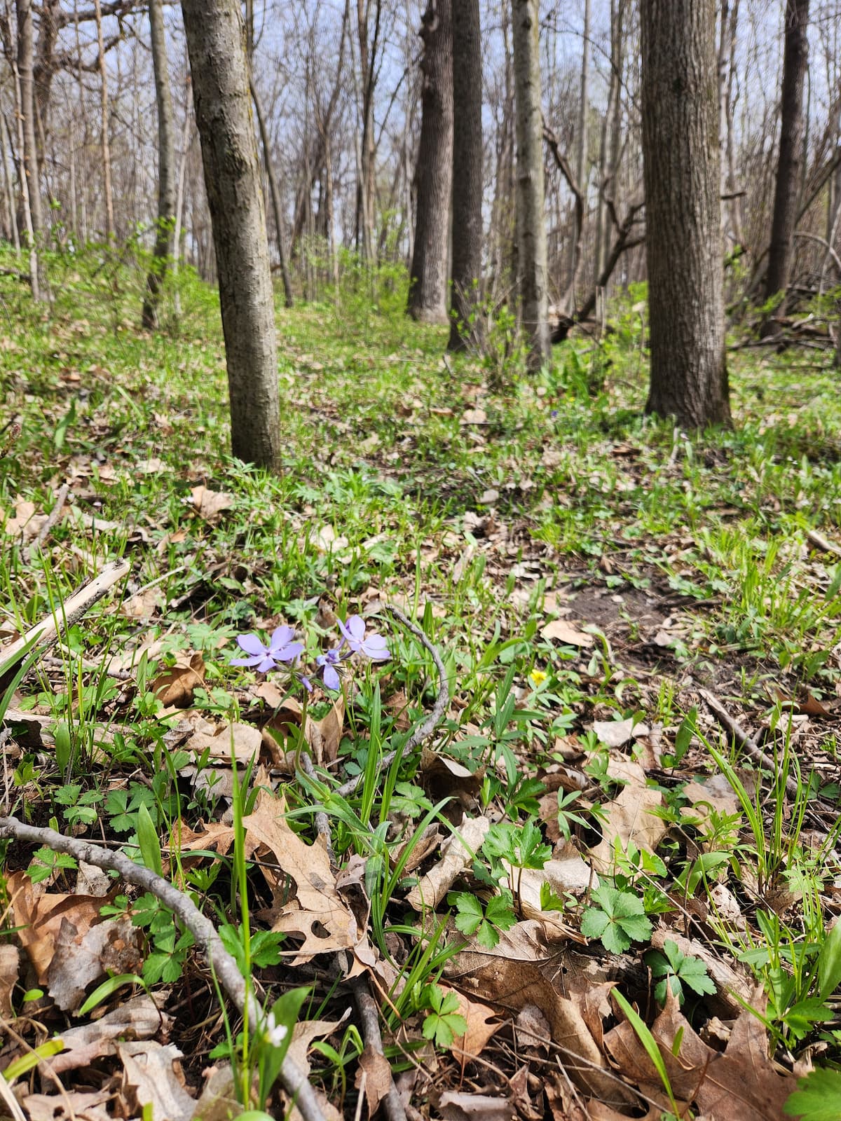 Benton City-Fry Recreation Area